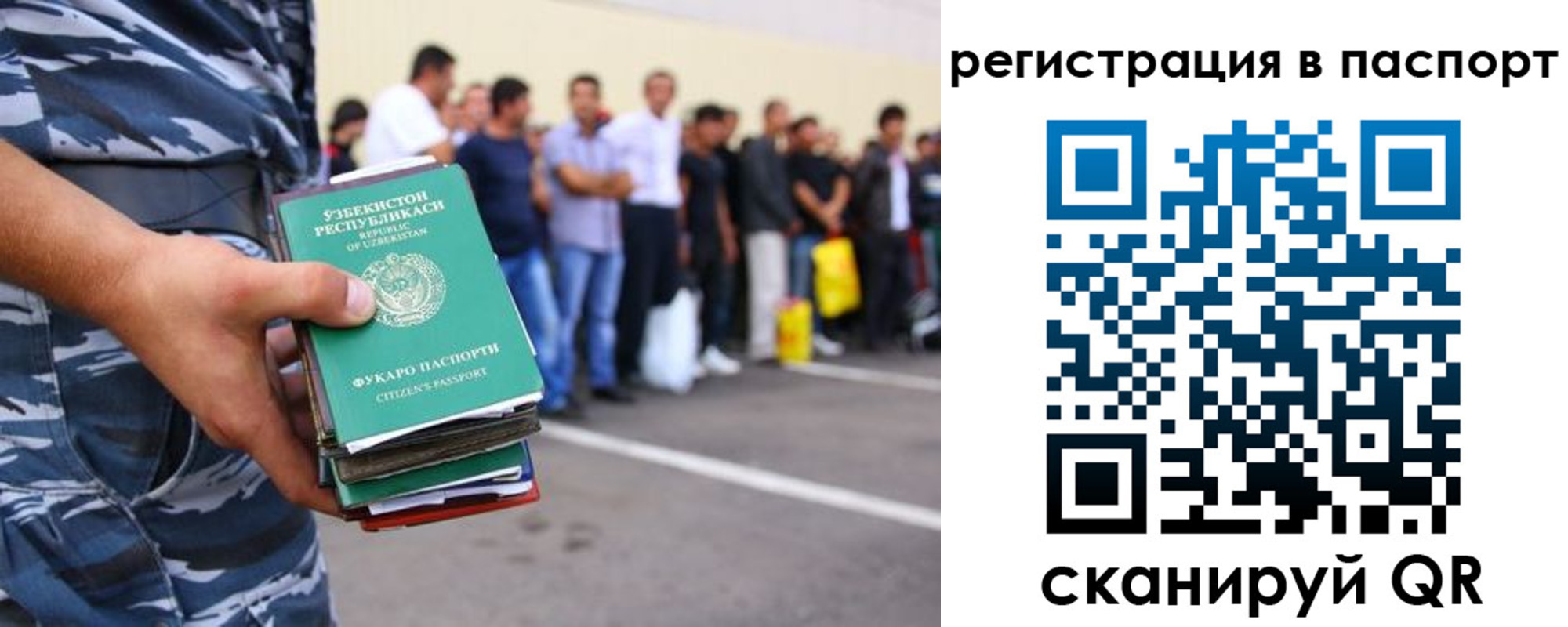 временная прописка в Петушках
